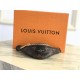 Louis Vuitton Bumbag Small Wallet 240 M52975