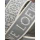 Loewe Anagram strap in jacquard and calfskin C High