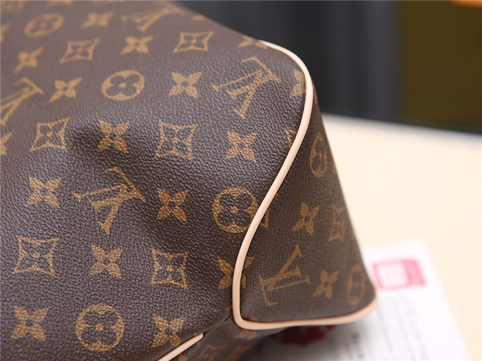 Louis Vuitton Delightful MM Bag Monogram Canvas M50156