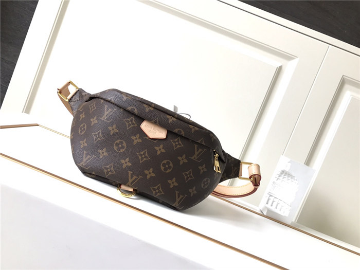 Louis Vuitton Bumbag Bag Monogram Canvas M43644