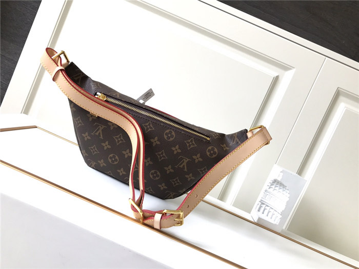 Louis Vuitton Bumbag Bag Monogram Canvas M43644