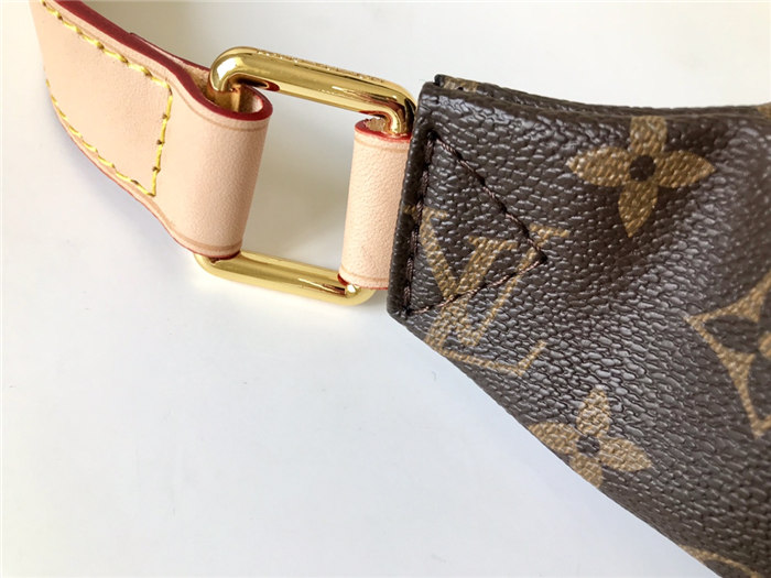 Louis Vuitton Bumbag Bag Monogram Canvas M43644