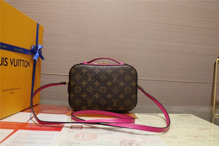 Louis Vuitton Freesia Saintonge Bag Monogram M43557