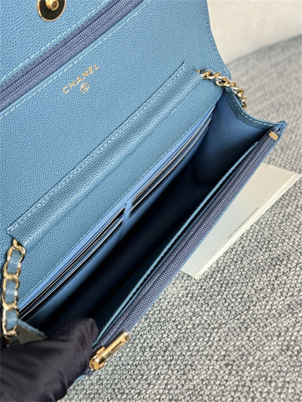 Classic Wallet on Chain AP0250 Grained Calfskin Blue Gold Metal B