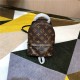 Louis Vuitton Mini Palm Springs Backpack M44873 Mid