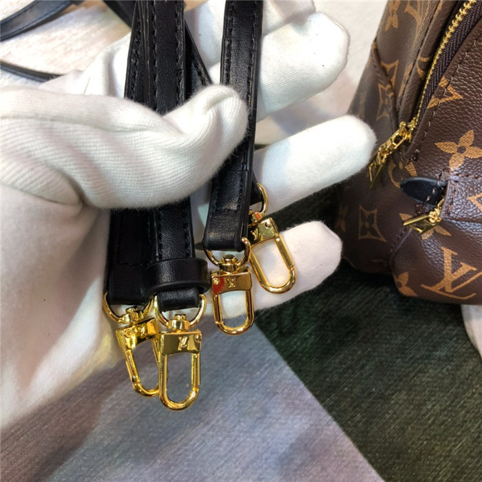 Louis Vuitton Mini Palm Springs Backpack M44873 Mid