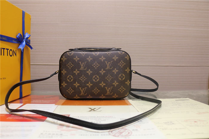 Louis Vuitton Black Saintonge Bag Monogram M43555