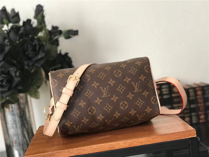 Louis Vuitton Speedy Bandouliere 25 Bag Monogram M41113