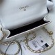 Chanel FLAP COIN PURSE WITH CHAIN Calfskin & Gold-Tone Metal AP2290 White A