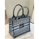 SMALL Dior BOOK TOTE Miss Dior Allover Embroidery Blue High