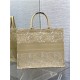 LARGE Dior BOOK TOTE D-Lace Embroidery with Macramé Effect High