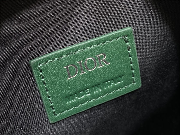 Dior WORLD TOUR MESSENGER POUCH Dior Oblique Galaxy Leather Green High