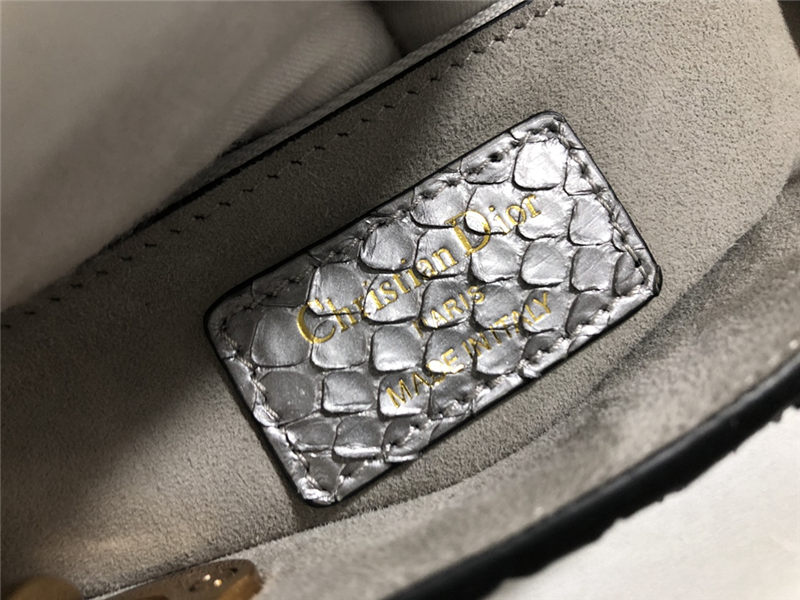 MEDIUM LADY Dior BAG Snake Grey High