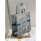 LARGE Dior BOOK TOTE Gradient Toile de Jouy Embroidery Blue High