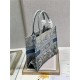 MEDIUM Dior BOOK TOTE Gradient Toile de Jouy Embroidery Blue High