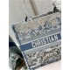 MEDIUM Dior BOOK TOTE Gradient Toile de Jouy Embroidery Blue High