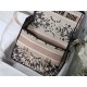 MEDIUM DiorCAMP BAG Embroidery High