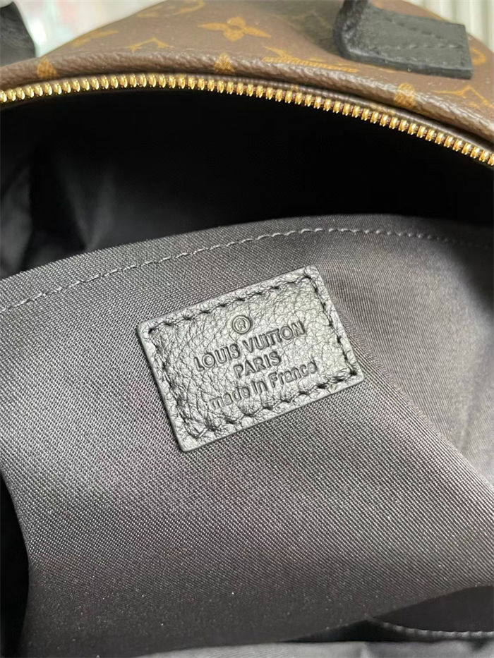 Louis Vuitton Palm Springs MM Backpack M41561 High