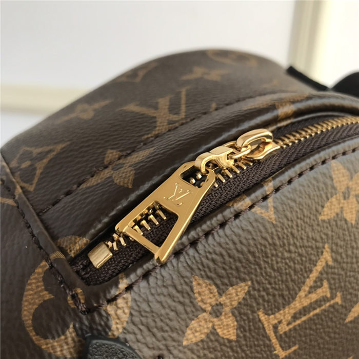 Louis Vuitton Mini Palm Springs Backpack M44873 High