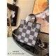 Louis Vuitton SAC PLAT XS Cowhide leather Black N60479 High