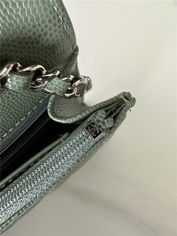 Classic Wallet on Chain AP0250 Grained Calfskin Green Silver Metal B