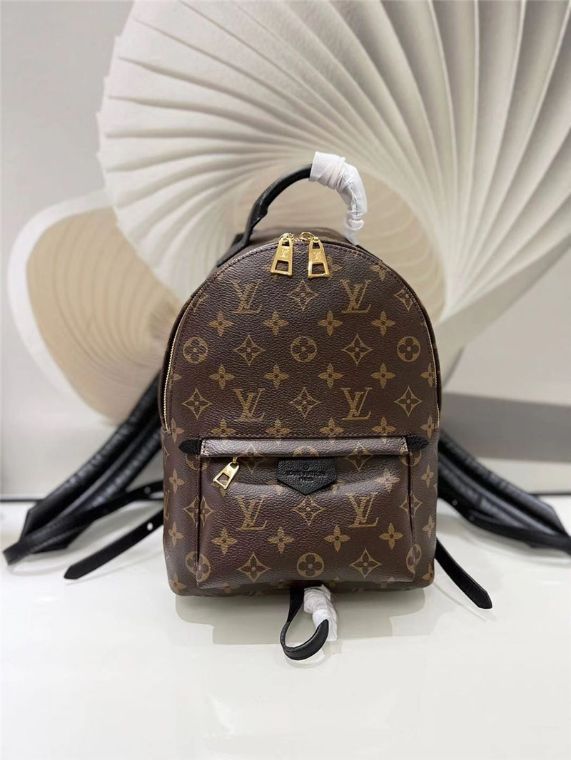 Louis Vuitton Palm Springs PM Backpack M41560 High