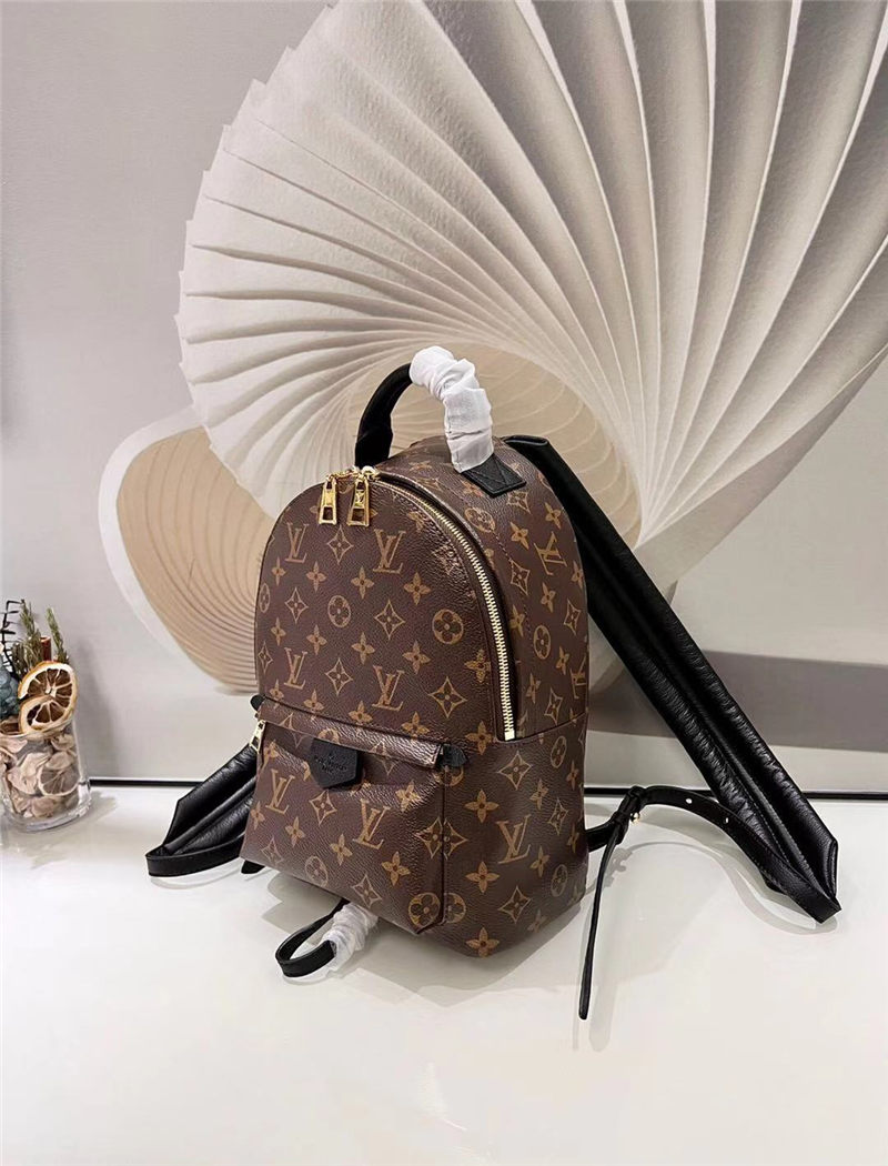 Louis Vuitton Palm Springs PM Backpack M41560 High