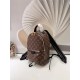 Louis Vuitton Palm Springs PM Backpack M41560 High