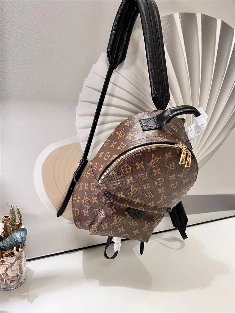 Louis Vuitton Palm Springs PM Backpack M41560 High