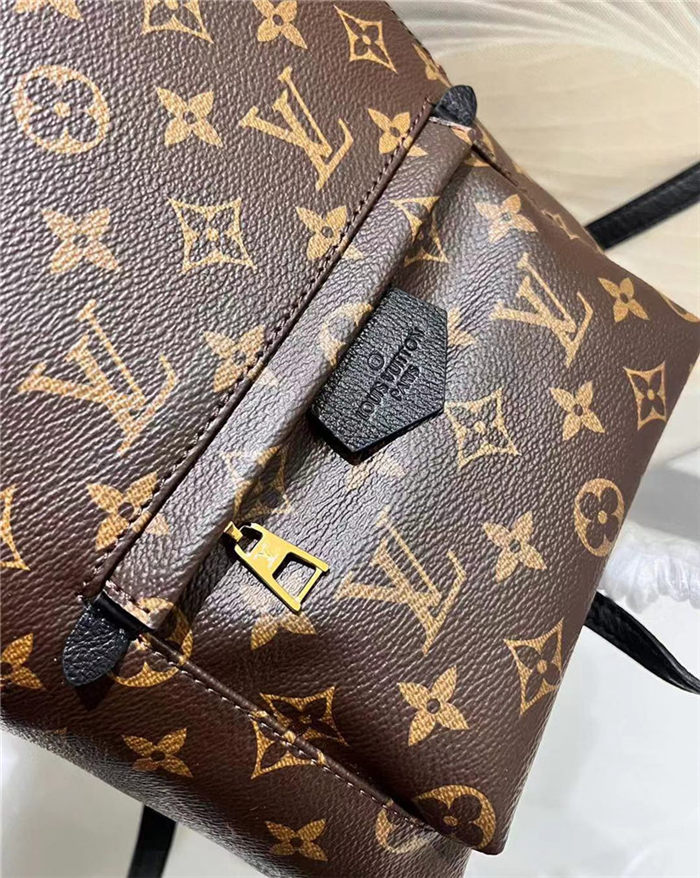 Louis Vuitton Palm Springs PM Backpack M41560 High