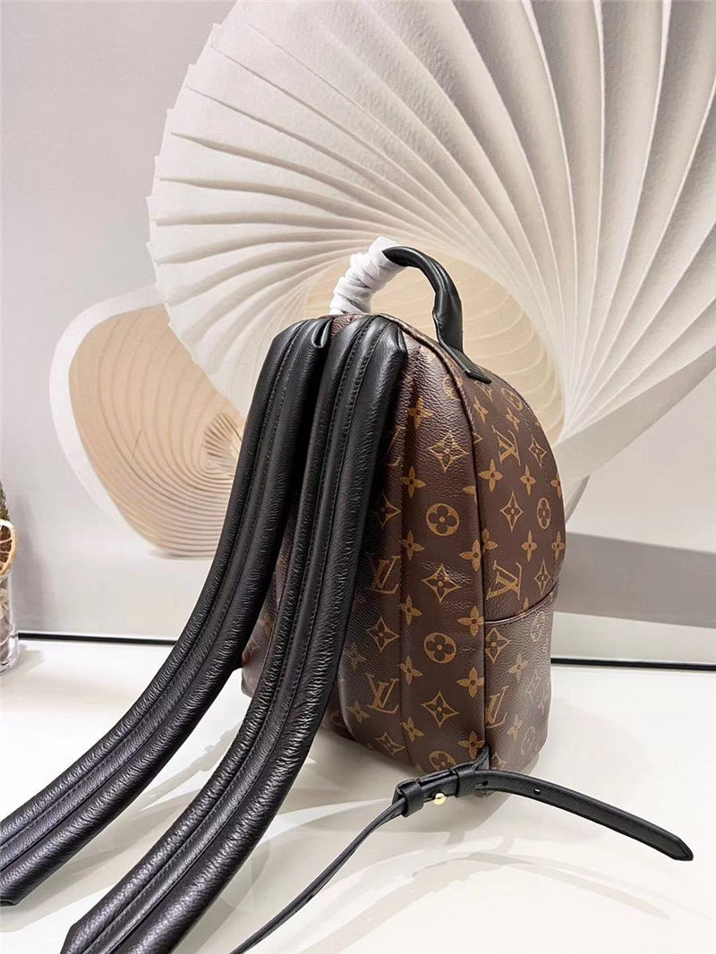 Louis Vuitton Palm Springs PM Backpack M41560 High