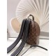 Louis Vuitton Palm Springs PM Backpack M41560 High