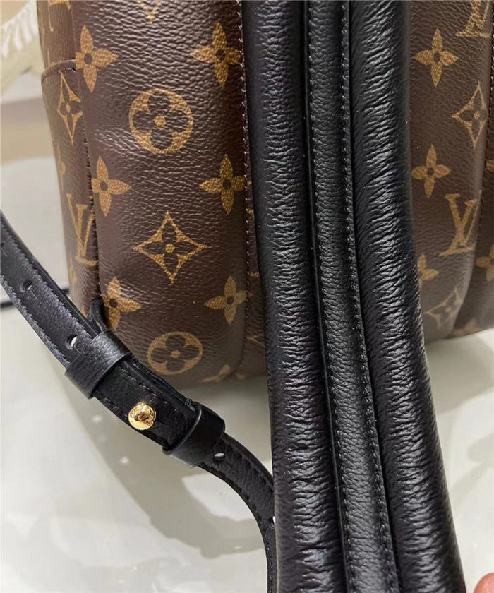 Louis Vuitton Palm Springs PM Backpack M41560 High