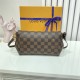 Louis Vuitton Favorite PM Bag Damier Ebene N41276 High