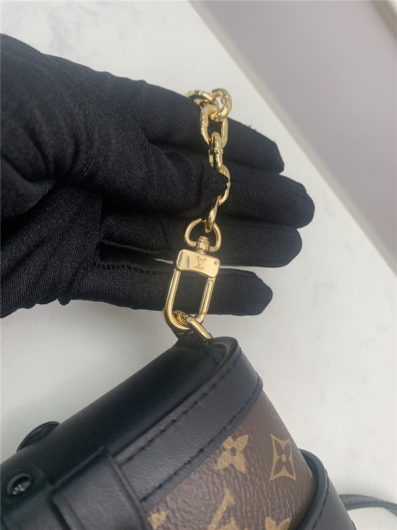 Louis Vuitton VERTICAL TRUNK POCHETTE Monogram M63913 High