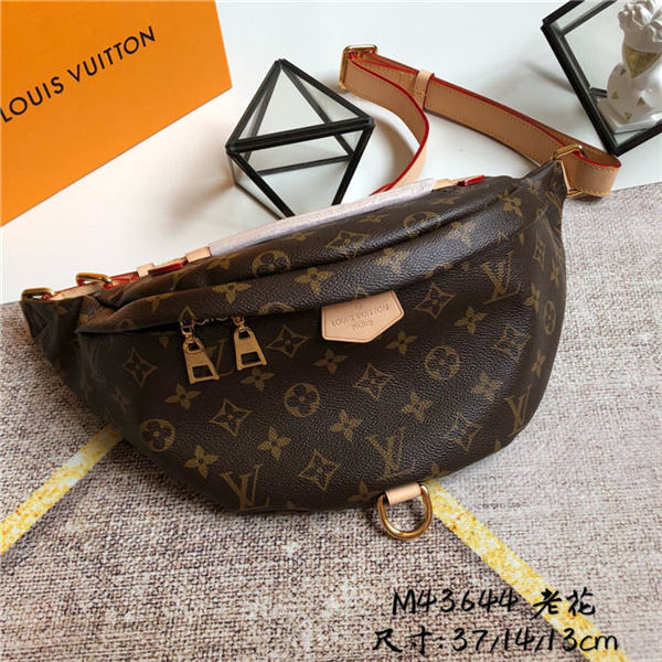 Louis Vuitton Bumbag Bag Monogram Canvas M43644 High