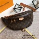 Louis Vuitton Bumbag Bag Monogram Canvas M43644 High