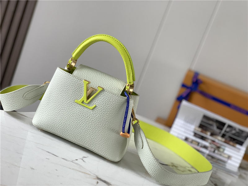 Louis Vuitton CAPUCINES MINI Taurillon White M59440 High