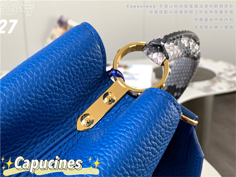 Louis Vuitton CAPUCINES BB Taurillon Blue M48865 High