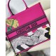 LARGE Dior BOOK TOTE Toile de Jouy Zoom Pop Embroidery High