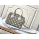 Louis Vuitton SPEEDY BANDOULIÈRE 20 Printed and embossed grained cowhide leather M46118 High