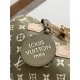 Louis Vuitton SPEEDY BANDOULIÈRE 20 Printed and embossed grained cowhide leather M46118 High