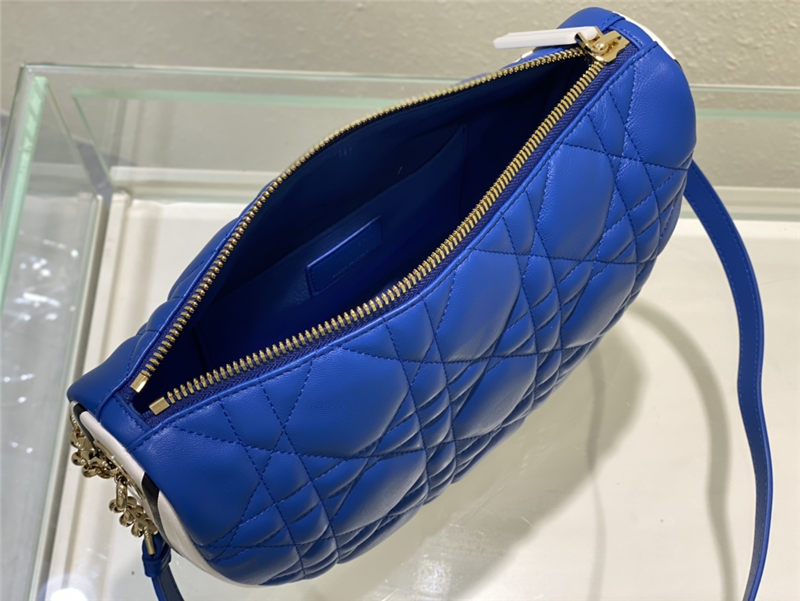 Dior VIBE BAG Blue High