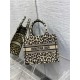 SMALL Dior BOOK TOTE Multicolor Mizza Embroidery Beige High