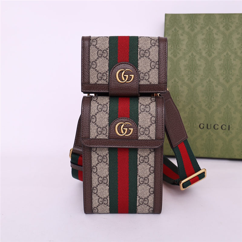 Gucci Ophidia mini bag and detachable wallet 699173 High