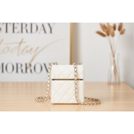 SMALL BOX WITH CHAIN Lambskin & Gold-Tone Metal White AP2656 High