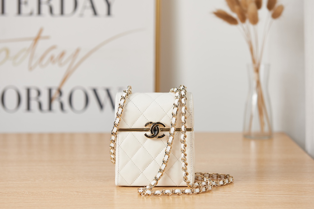 SMALL BOX WITH CHAIN Lambskin & Gold-Tone Metal White AP2656 High