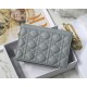 Dior CARO ZIPPED POUCH WITH CHAIN Supple Cannage Calfskin Grey High