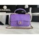 MINI FLAP BAG WITH TOP HANDLE AS2431 Snake Purpel High