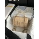 MINI FLAP BAG WITH TOP HANDLE AS2431 Snake Beige High